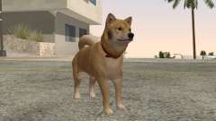 Perro